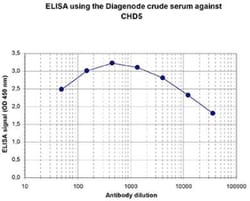 CHD5 Rabbit anti-Human, Polyclonal, Novus Biologicals 100 &mu;g; Unconjugated:Antibodies,